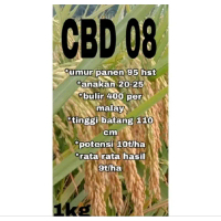 BENIH PADI CBD 08 KEMASAN 1KG