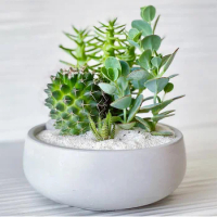 Big Bowl-shaped Planter Silicone Mold DIY Cement Flower pots Mold Succulent Planting Cement Container Mold