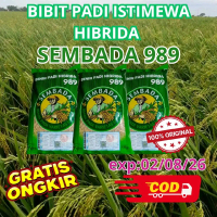 1kg Sembada 989 Benih Padi Unggul Inbrida Padi Sawah Hasil Panen Tinggi 8-10 Ton Ha Tahan Hama Dan P