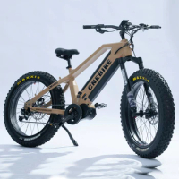 Mountain cross-country motor mid drive electric 48v 750W 1000W 1500W dual battery fat tire Full suspension bike