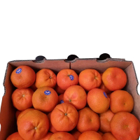 Fruit jeruk aforell 1 dus 9kg manis Buah