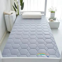 加厚床墊尺寸70x170家用床褥0.9米80x180x60x160x110x190x140大豆款-抗菌床墊-菱形灰（舒適款）60*180cm
