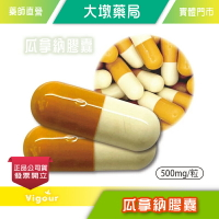 固德 瓜拿納膠囊500mg/粒 促進代謝 法國瓜拿納萃取 多種礦物質 台灣公司貨》大墩藥局