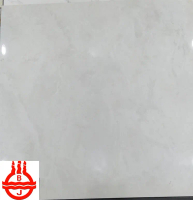 Arna Nala White Grey Glossy Gloss Kilap 60x60 Granite Granit Marble