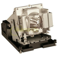 OPTOMA原廠投影機燈泡BL-FS300C/5811116519-S適TH1060P、TX779P-3D