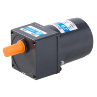 15W 110V 3IK15GN-A/3GN40K induction motor with 30 Rpm AC Gear Reduction Motor