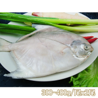 新鮮市集 鮮嫩富貴白鯧魚2尾(300-400g/尾)