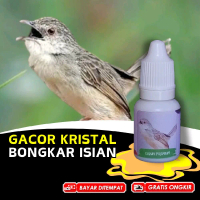 Vitamin Burung Cigun Ciblek Gunung