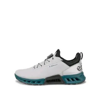 Sepatu Pria GOLF Ecco C4 BOA GORE-TEX (ECG13042460912GRE)