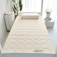 加厚床墊尺寸70x170家用床褥0.9米80x180x60x160x110x190x140大豆款-抗菌床墊-菱形駝（舒適款）120*180cm