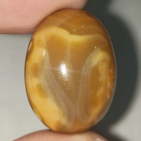 Natural Batu Akik 2460Yaman Gigi Hiu Monster Air Megalodon Unik Antik