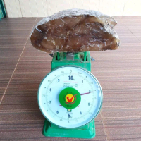 AMBER COPAL PAPUA BERAT 2 KILO AMBER KOLEKSI NATURAL AMBER