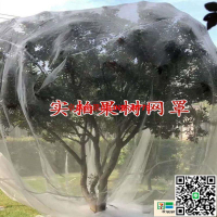 【卓越優選館】防鳥網 果樹防蟲專用果園大棚楊梅櫻桃網罩防蟲防鳥蓮霧藍莓水果家用網罩