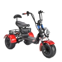 Three wheels big tire adult tricycle citycoco 3 wheels electric scooter 1500w/2000w