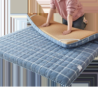 夏季冰絲涼席床墊遮蓋物雙面冬夏兩用180x200租房專用臥室軟墊子