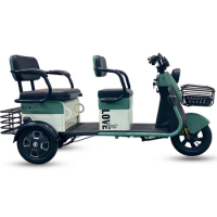 Wholesale Elderly Leisure 3 Wheel Electric Scooters Adult Electric Tricycles