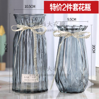 2件套 歐式玻璃花瓶透明彩色水培植物花瓶客廳裝飾擺件插花瓶【時尚大衣櫥】
