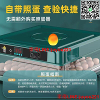 🔥公司貨免運🔥孵化機 小型孵蛋器 全自動孵蛋機 孵化器小型家用全自動智能孵化機鸚鵡雞鴨鵝鵪鶉孵蛋器迷你孵化箱