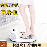 110v干身機臺灣美國日本家用負離子干身器浴室人體吹風機冷暖兩用