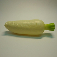 《食物模型》白蘿蔔 蔬菜模型 - B2002