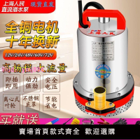 上海人民高揚程直流潛水泵12V24V48V60V電瓶泵電動車抽水機農用泵