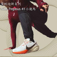 NIKE 耐吉 慢跑鞋 男鞋 運動鞋 小飛馬 蛇年CNY AIR ZOOM PEGASUS 41 灰白橘 HV5975-102