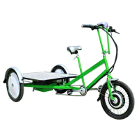 OEM 3 Wheel Electric Tricycle with CE Certification Customized Adult Cargo Bike for Delivery Goods custom