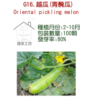 【蔬菜工坊】G16.越瓜種子(青醃瓜)