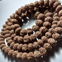 Necklace and beads japamala 108 rudraksha 11 mukhi