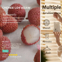 Hanky House แฮงกี้ เฮาส์ ถุงหอมปรับอากาศ กลิ่น ลิ้นจี่ (Lychee) หินภูเขาไฟ Volcanic Perfume Sachet ข