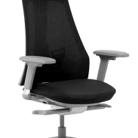 Ergonomic Office Chair, Mesh Office Chair with 3-Way Headrest, Adjustable Lumbar Support,, Grey Frame/Black Seat