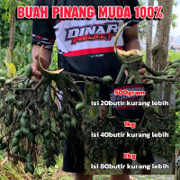 Buah pinang muda mentah asli - Buah Jambe muda 1kg - Herbal Original