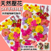 【A-ONE】永生壓花 壓花書籤 壓花材料包 乾燥花書籤 乾燥壓花 押花 壓花材料 壓花DIY 樹葉書籤 乾燥花
