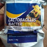Lactobacillus Probiotik Ikan 1 kg untuk Kolam dan Tambak