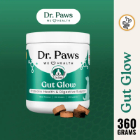 Dr. Paws Gut Glow Probiotic Gut Health Chews For Dogs