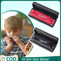 Harmonica 10 Hole Alat Musik Harmonika Harmonika Chromatic Dengan Kotak Harmonica Original Untuk Ana