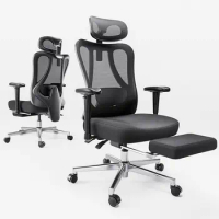 Hbada Ergonomic Office Chair with 2D Adjustable Armrest, Office Chair with 2D Adjustable Lumbar Support, Computer Chair