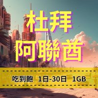eSIM 杜拜上網 吃到飽方案 阿聯酋上網 電信Etisalat 手機上網 快速上網 免插拔卡 方便快速 杜拜旅遊上網