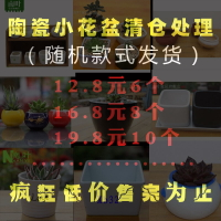 清倉低價陶瓷小花盆小圓球花盆方形花盆多肉花盆隨機款式發貨