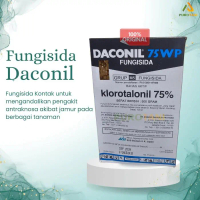 PRTN Daconil 75WP 500 Gram Fungisida Kontak Ampuh Atasi Penyakit Jamur Tanaman QF880OBRAL