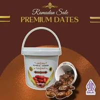 Kurma Barari Sukkari Premium 800 Gr(Kemasan Ember Plastik)Saudi Arabia