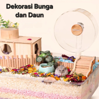 Dekorasi Kandang Hewan Kecil – Daun Bunga Kering Natural & Warna-Warni