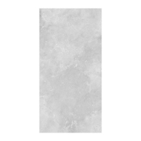 CONCEPT L. GREY R10 (12F6628) 60X120*A