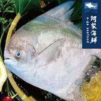 【阿家海鮮】野生白鯧魚 (已三去 淨重450g±10%/隻)