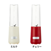 日本  VITANTONIO VBL-6 隨行杯 可攜式 果汁 蔬果機 迷你蔬果纖食機 280ml 日本代購