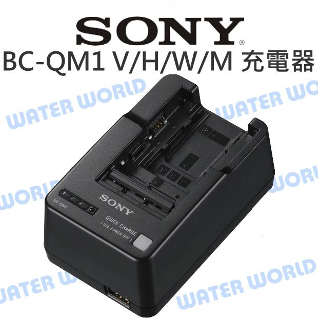 Sony BC-QM1的價格推薦- 2023年1月| 比價比個夠BigGo
