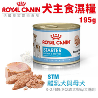 Royal Canin法國皇家 犬主食濕糧195g STM離乳犬與母犬 犬糧 狗罐頭『寵喵樂旗艦店』