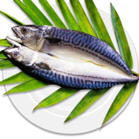 【好神】嚴選挪威鯖魚一夜干8尾組(300g/包)
