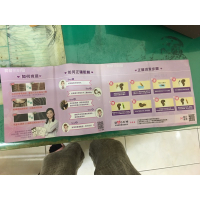 魔髮部屋 醫療專用假髮 擬真頭皮 原價34800 附架子