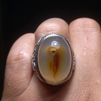 Cincin Akik saga motif cimpago top collections